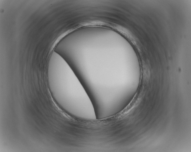 X0000080160945200612081024