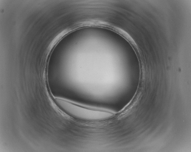 X0000080160946200612081024