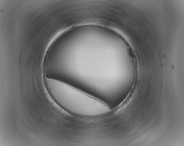 X0000080160949200612081024