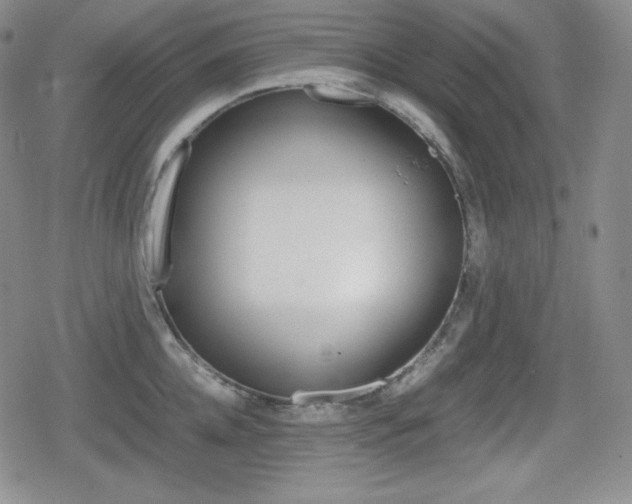 X0000080160952200612081024