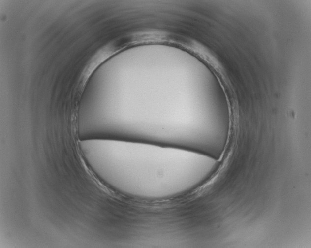 X0000080160953200612081024
