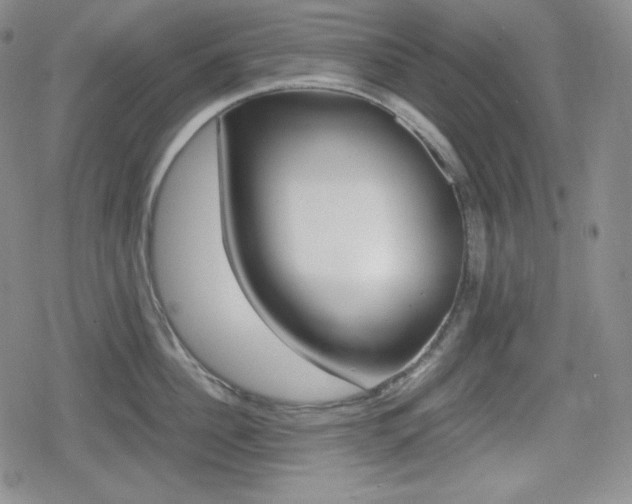 X0000080160956200612081024