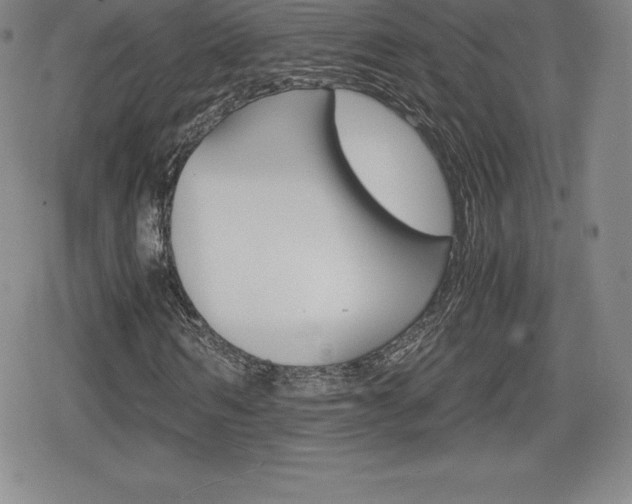 X0000080160962200612081023