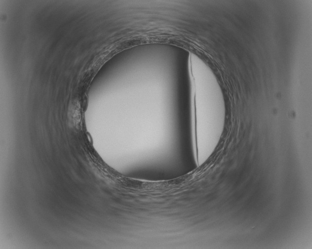 X0000080160963200612081023