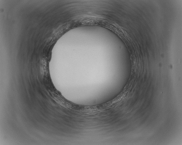 X0000080160964200612081023