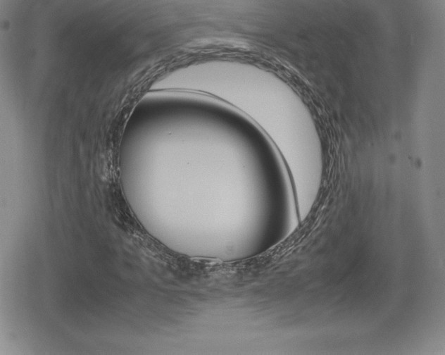 X0000080160965200612081023