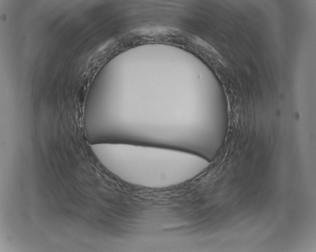 X0000080160966200612081023