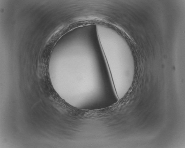 X0000080160967200612081023