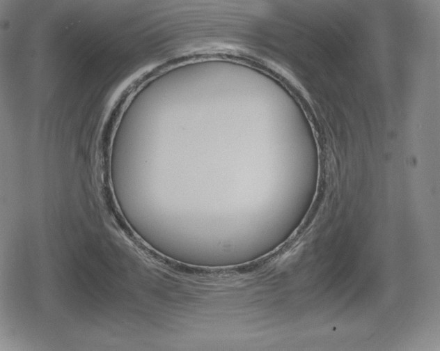 X0000080160979200612081023