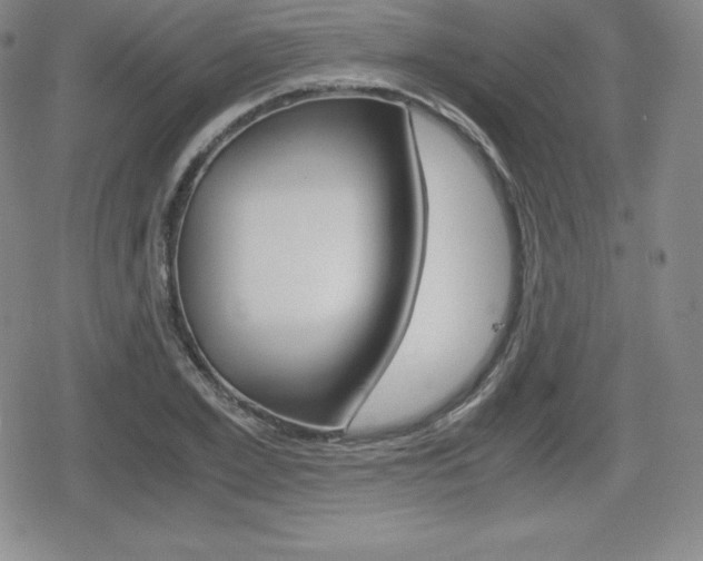 X0000080160981200612081023