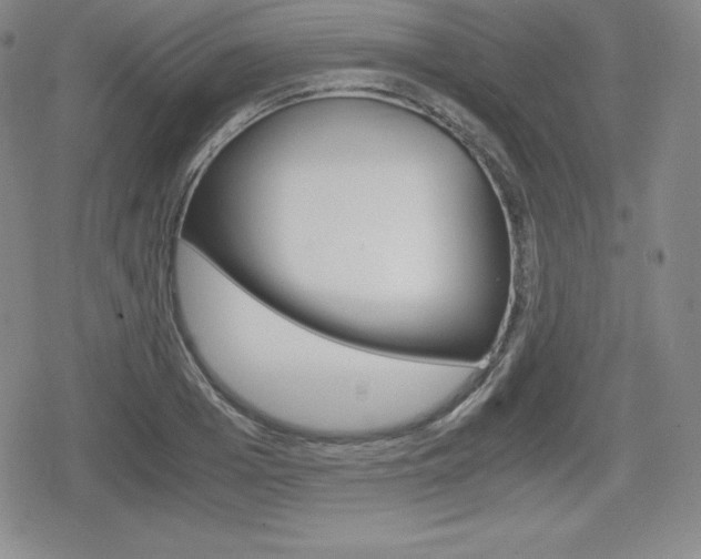 X0000080160985200612081023