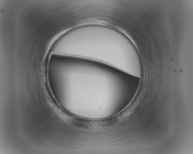 X0000080160987200612081023
