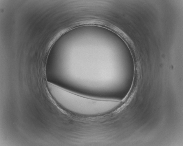 X0000080160993200612081023