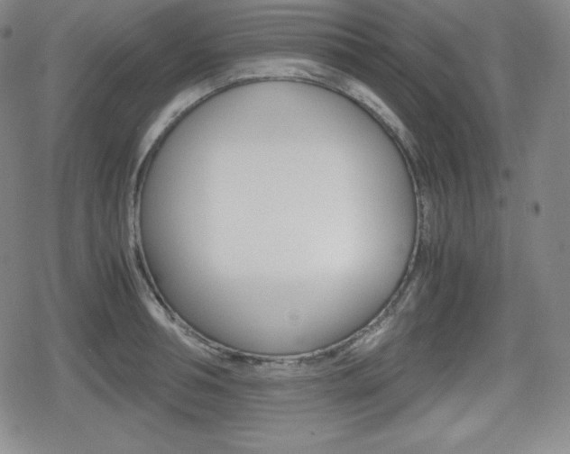 X0000080160994200612081023