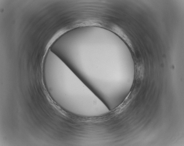 X0000080161002200612081022