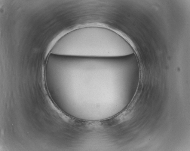 X0000080161006200612081022
