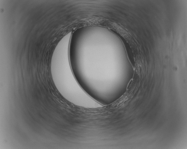 X0000080161010200612081022