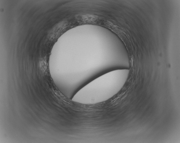 X0000080161011200612081022