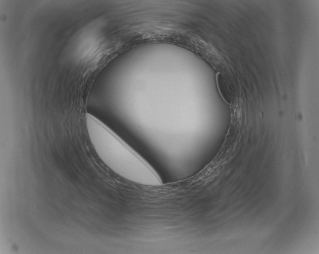 X0000080161012200612081022