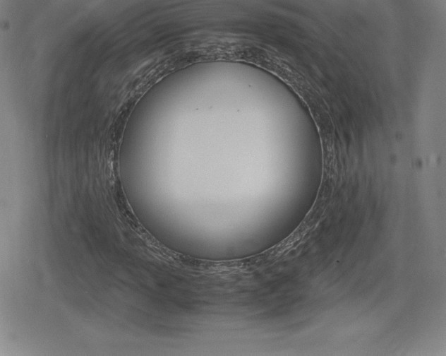 X0000080161013200612081022