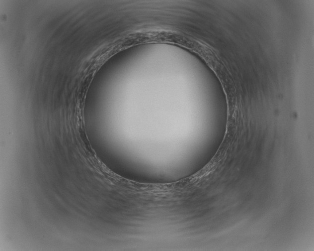 X0000080161014200612081022