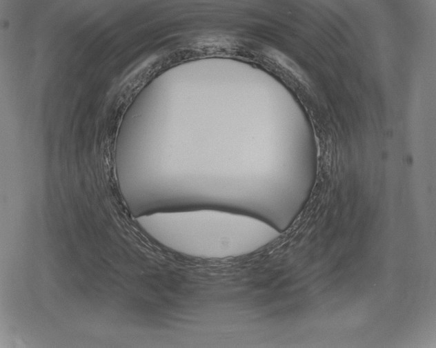 X0000080161015200612081022