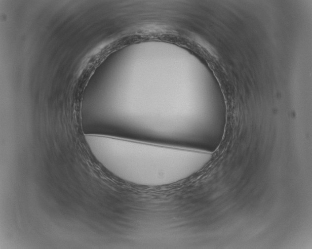 X0000080161016200612081022