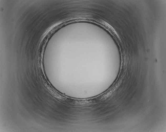 X0000080161019200612081022