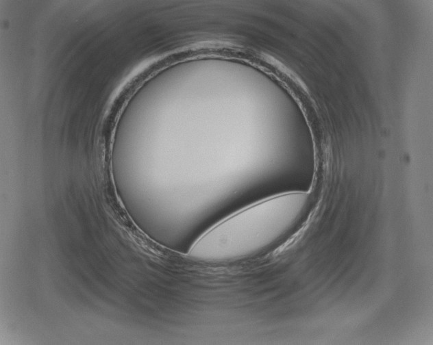 X0000080161021200612081022