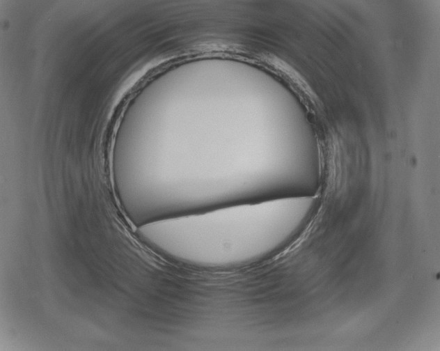X0000080161023200612081022