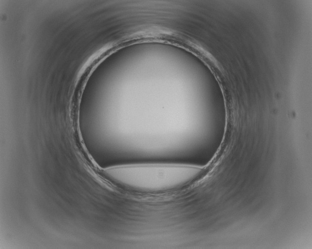 X0000080161026200612081022