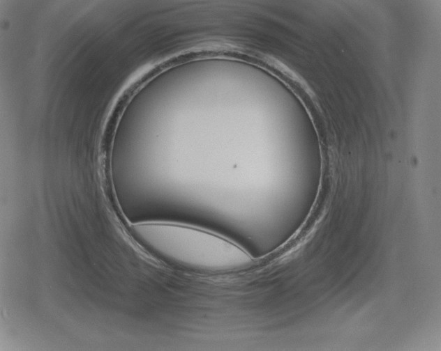 X0000080161029200612081022