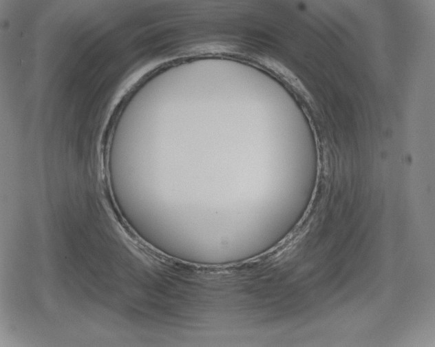 X0000080161031200612081022