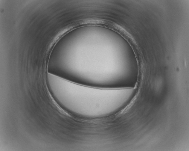X0000080161033200612081022