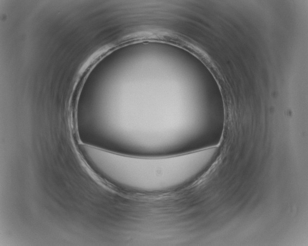 X0000080161034200612081022