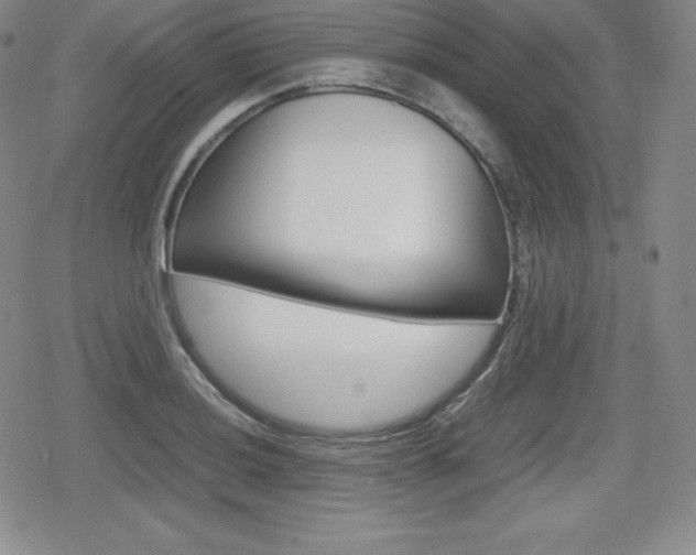 X0000080161036200612081022
