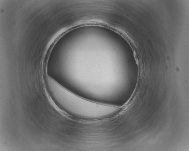 X0000080161038200612081022