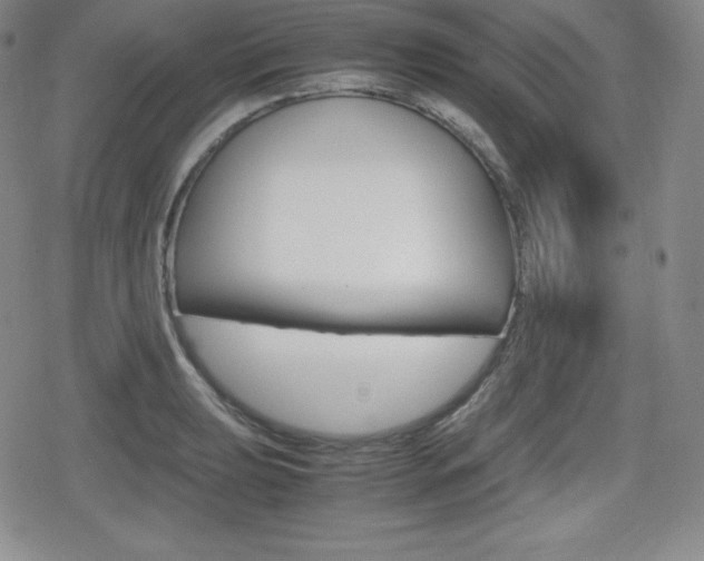 X0000080161039200612081022