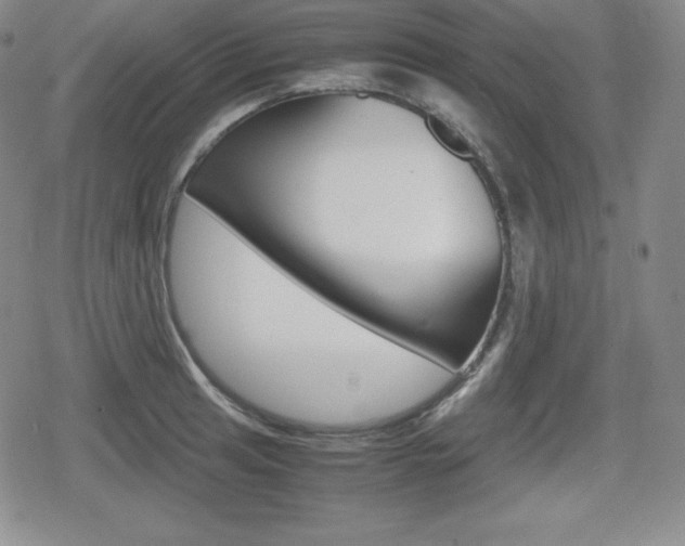 X0000080161041200612081022