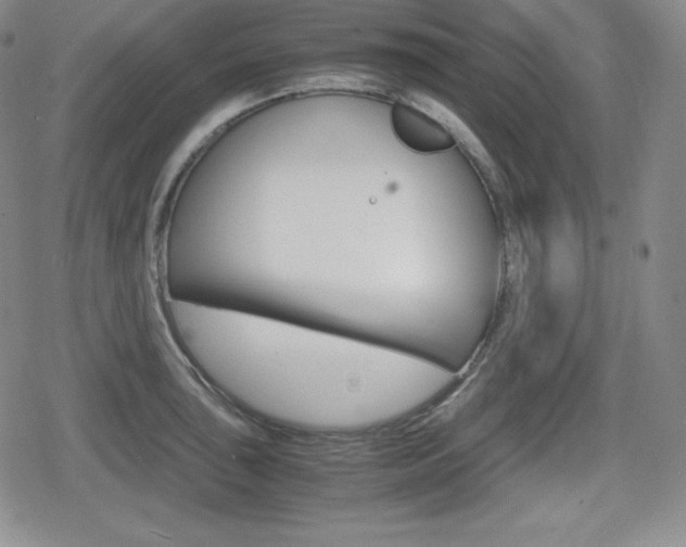 X0000080161043200612081022