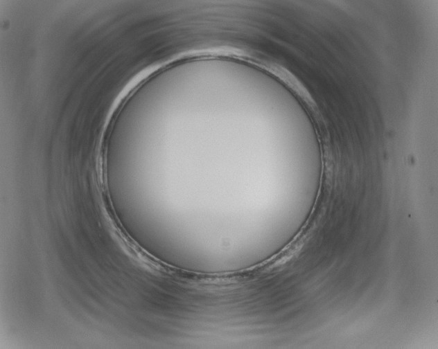 X0000080161044200612081022