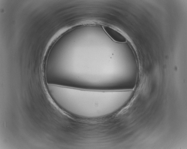 X0000080161045200612081022