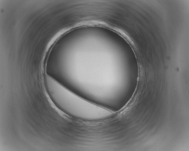 X0000080161046200612081022