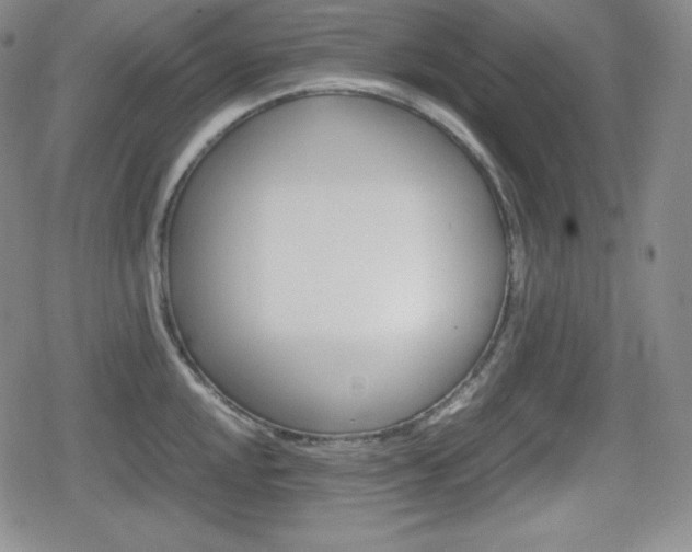 X0000080161048200612081022
