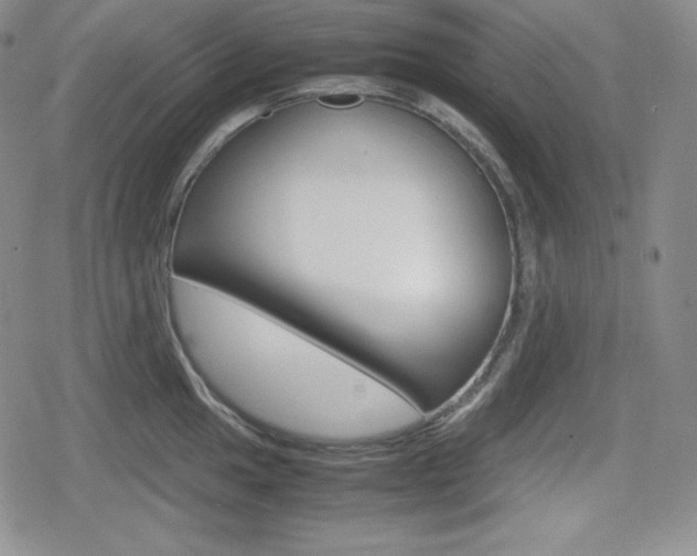 X0000080161049200612081022