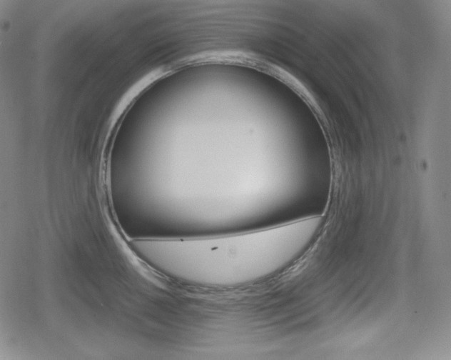 X0000080161050200612081022