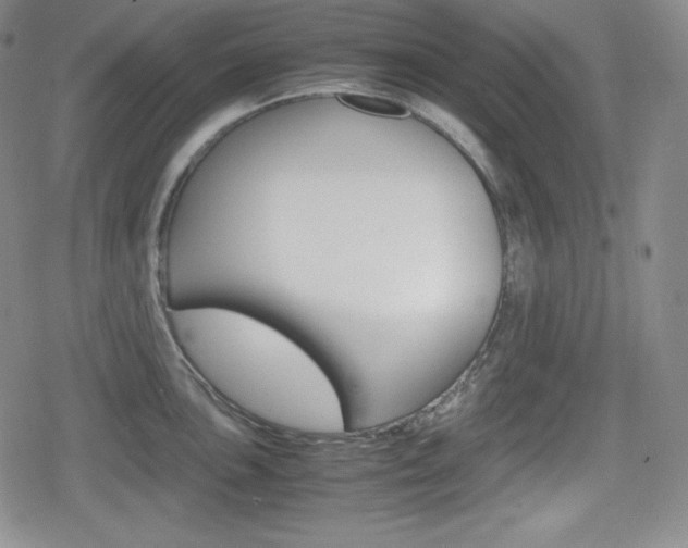 X0000080161051200612081022