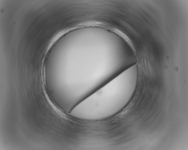 X0000080161055200612081022
