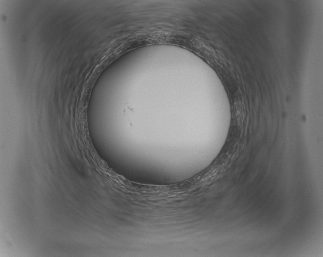 X0000080161057200612081022