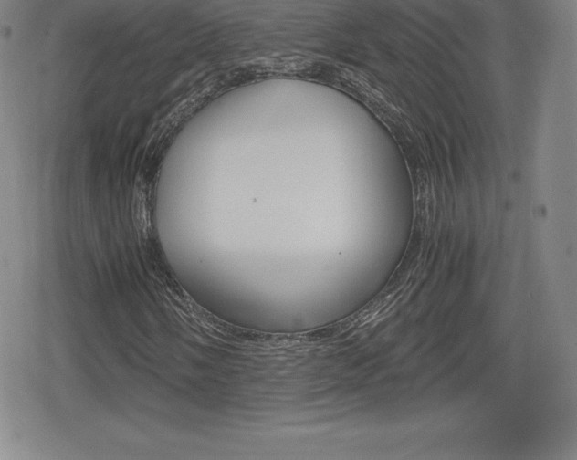 X0000080161058200612081022